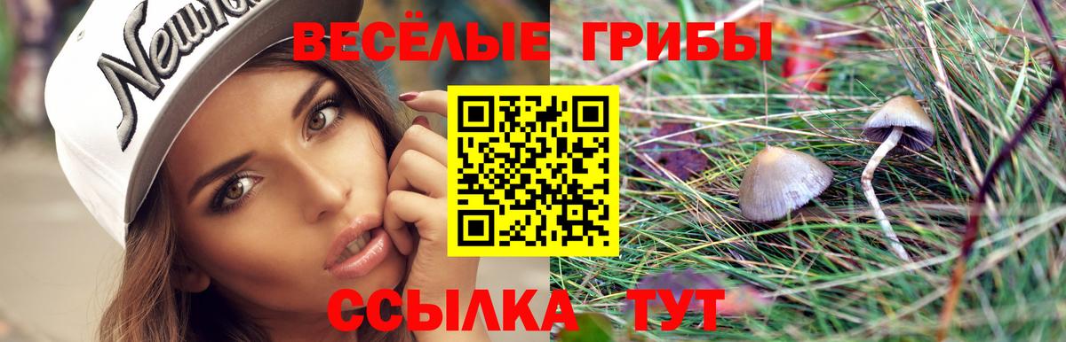 Галлюциногенные грибы прущие грибы  Псилоцибиновые грибы Cubensis  Курчатов  Вход с VPN 