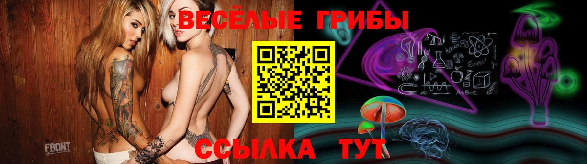 Псилоцибиновые грибы Magic Shrooms Курчатов